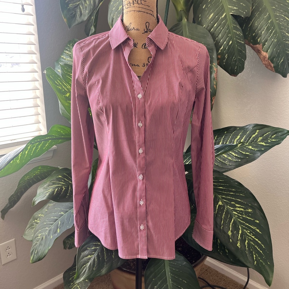 NWOT Express Burgundy Striped